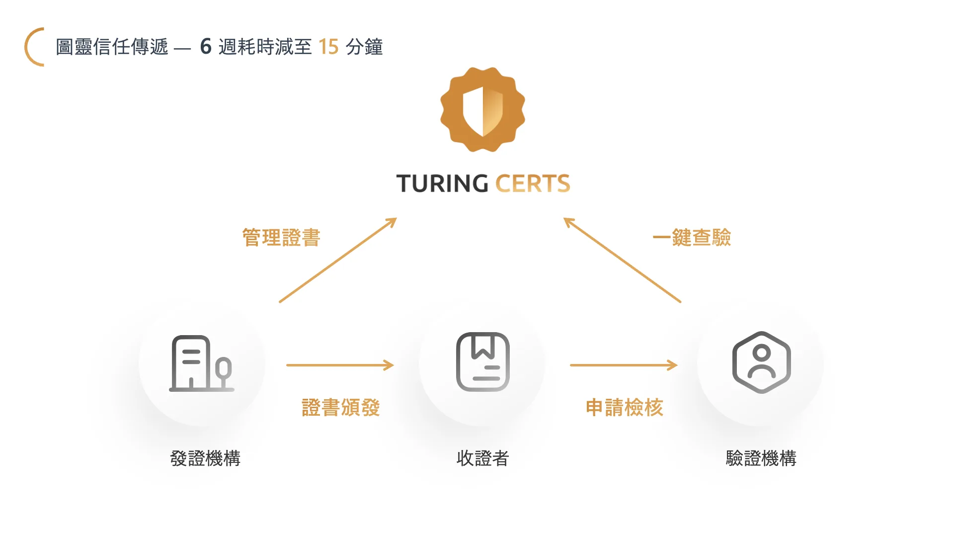 SaaS 平台產品設計|Turing Certs