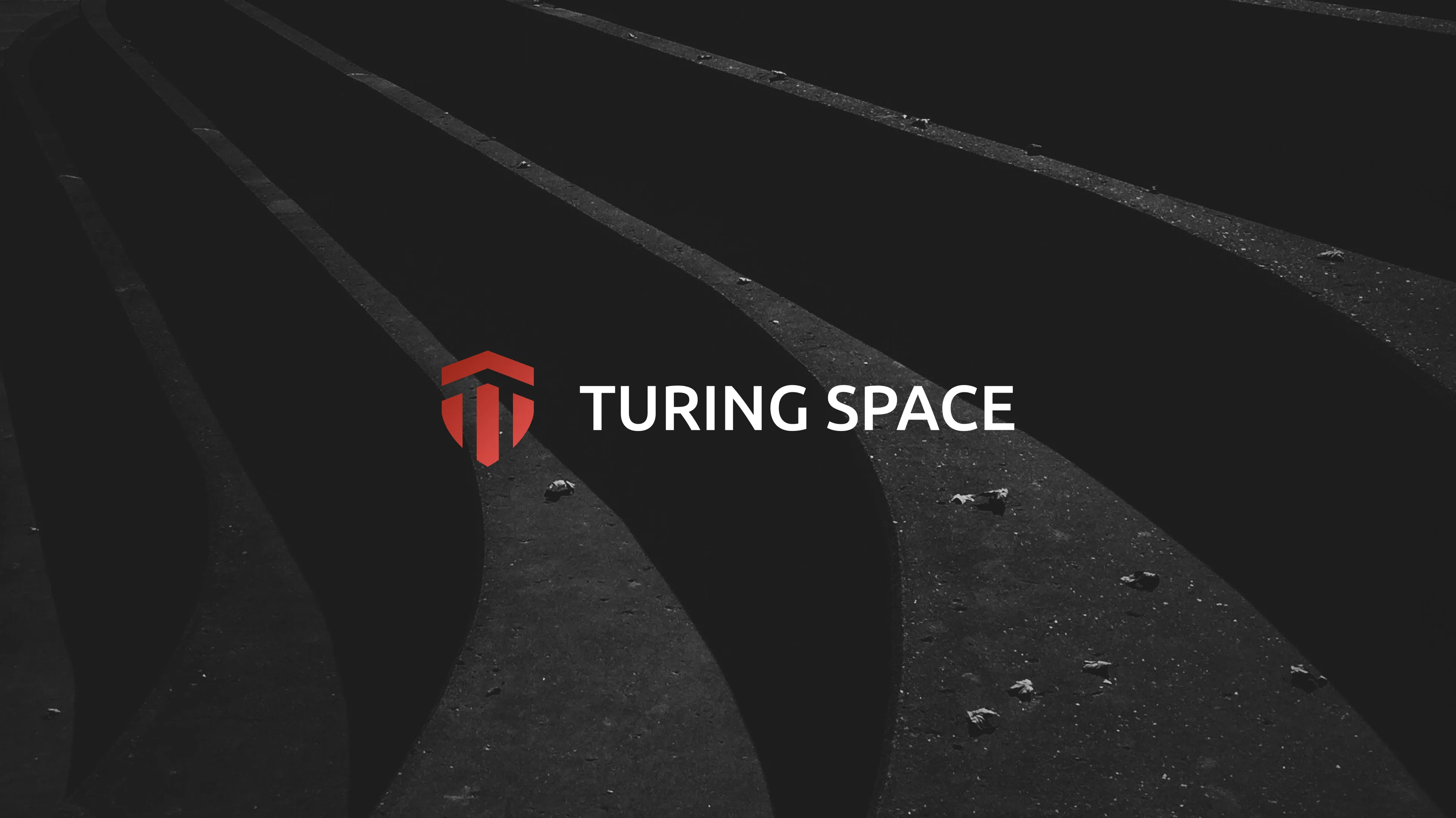 Brand Visual Identity — Turing Space