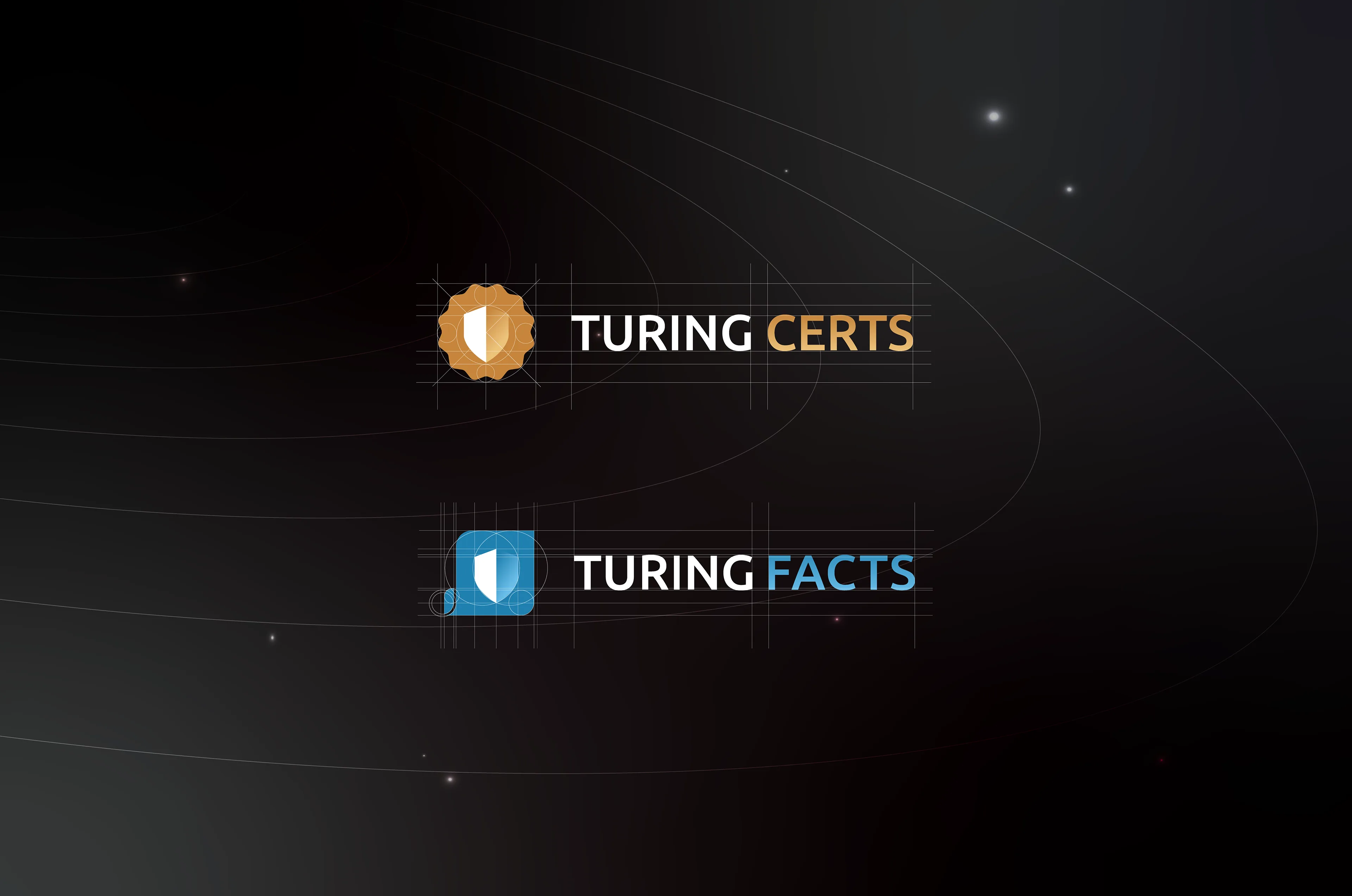 Brand Visual Identity — Turing Space